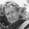 Doodles Weaver