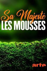 Sa Majesté les mousses 迅雷下载