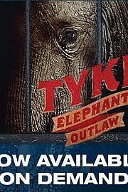 Tyke Elephant Outlaw 2015