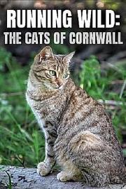 Running Wild: The Cats of Cornwall 迅雷下载