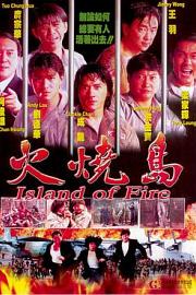 火烧岛 (1991) 下载