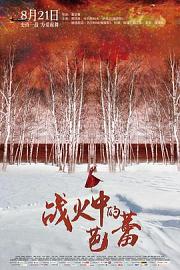 战火中的芭蕾 (2015) 下载