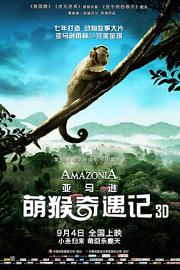 亚马逊萌猴奇遇记 (2013) 下载