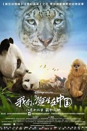 我们诞生在中国 (2016) 下载