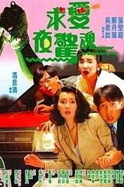 求爱夜惊魂 1989 下载