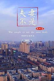 夫妻不是同林鸟 The Couple Is Not the Same Birds 2019