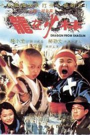 龙在少林 1996