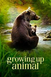 动物成长 Growing Up Animal