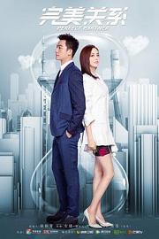 完美关系 Wanmei Guanxi: Perfect Partner