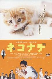 小猫奇缘2008