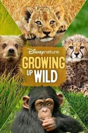 Growing Up Wild 迅雷下载