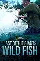 追踪巨型鱼 Last of the Giants